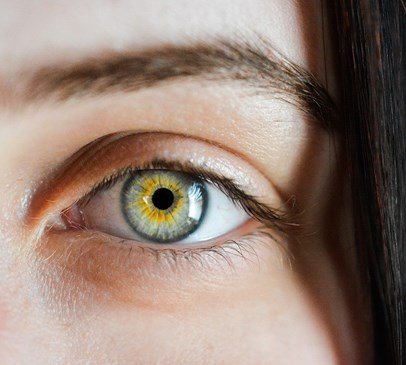 Visual problems after brain injury explained in new factsheet Main Image